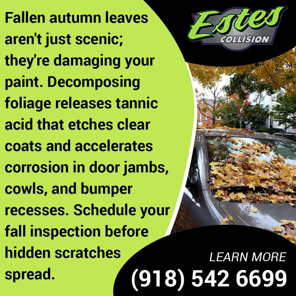 Autumn leaves fallen on car