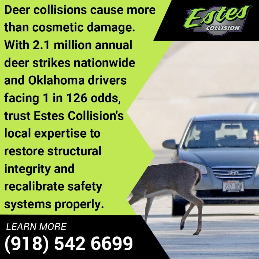 Deer Collision